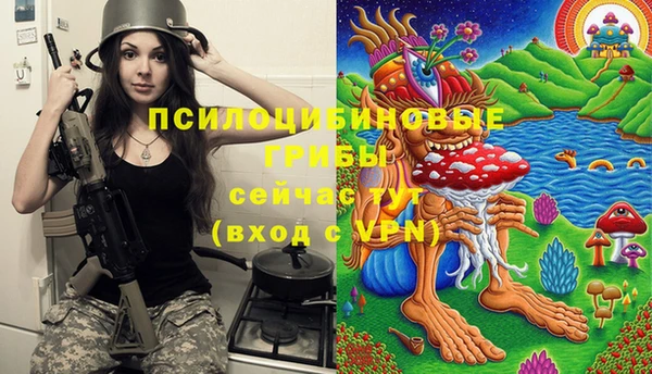 бутират Каменск-Шахтинский