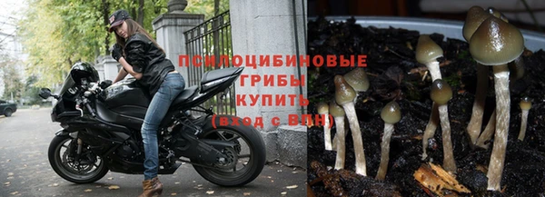 mdpv Инсар