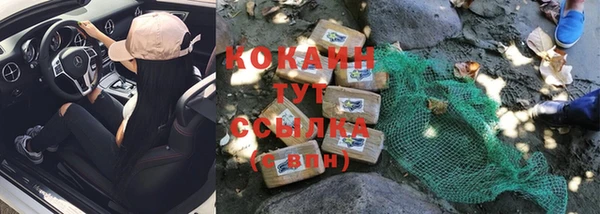 mdpv Инсар