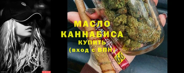 mdpv Инсар