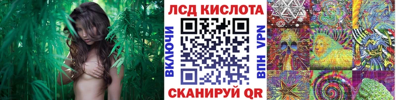 Купить где  Юхнов  Марки N-bome 1500мкг 